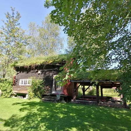 شقة Lensmansgarden Fjosen Innfjorden المظهر الخارجي الصورة